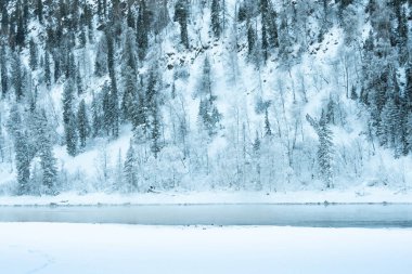 Kış nehrinin yanındaki karanlık kar ormanı. Göl kıyısı buz ve buzla kaplı. Soğuk yüzünden suyun üzerinde hafif buz gibi sis.