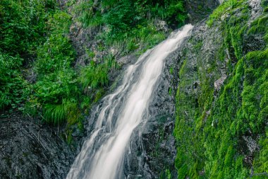 Yağmur ormanlarındaki nehir üzerindeki şelalenin atmosferik görüntüsü. Kayalar ve yeşil yosunlar arasında hızlı akarsu.