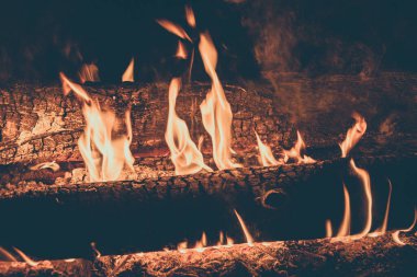 Ahşap ateşte yanıyor. Geceleri çalı çırpı ve turizm ateşi sıcaklık ve ışık verir..