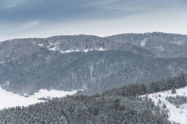 Orman tepelerinin yumuşak yamaçları ilk karla kaplıdır. Ufuktaki dağ vadileri ve tepe manzarası.