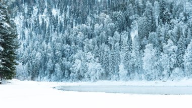 Kış nehrinin yanındaki karanlık kar ormanı. Göl kıyısı buz ve buzla kaplı. Soğuk yüzünden suyun üzerinde hafif buz gibi sis.
