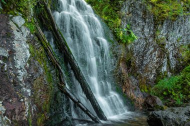 Yeşil çimenlerin arasında şelale. Yaz yağmur ormanlarında yosunlu kayaların üzerindeki dağ deresi. Alp çağındaki hızlı akış