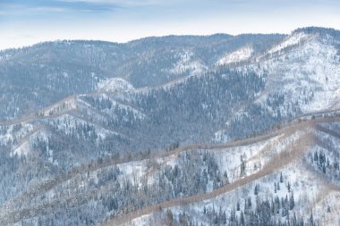 Orman ve karla kaplı yumuşak tepeler, kış dağı vadisi
