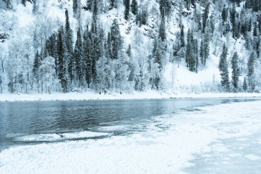 Karlı ormanlı gölün buzlu kıyısı. Soğuk hava, soğuk hava yüzünden donmuş nehir yatağı.