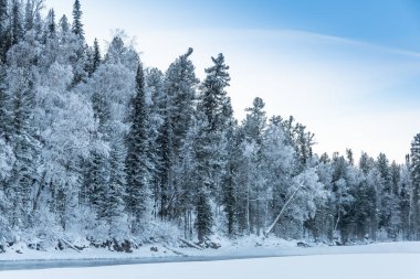 Kış nehrinin yanındaki karanlık kar ormanı. Göl kıyısı buz ve buzla kaplı. Soğuk yüzünden suyun üzerinde hafif buz gibi sis.