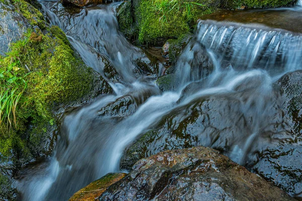 Orman vadisindeki kayalar ve kayalar arasındaki fırtınalı dere. Dağ nehri.