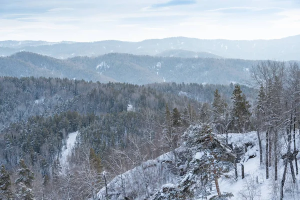 Colinas Suaves Están Cubiertas Bosque Nieve Vista Del Valle Montaña — Foto de Stock