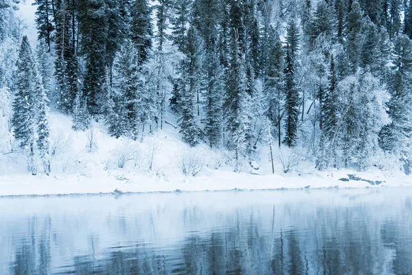 Nehir kıyısındaki kar ormanı. Sudaki buz ağaçlarının yansıması.