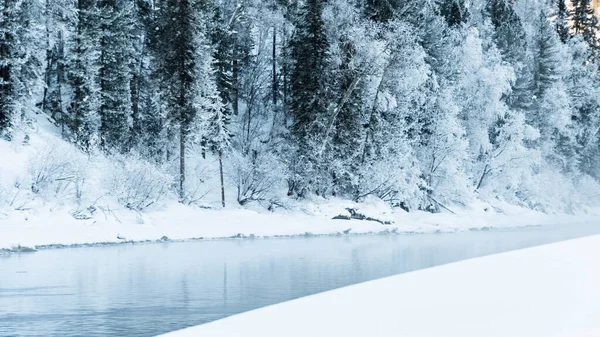Kış nehrinin yanındaki karanlık kar ormanı. Göl kıyısı buz ve buzla kaplı. Soğuk yüzünden suyun üzerinde hafif buz gibi sis.