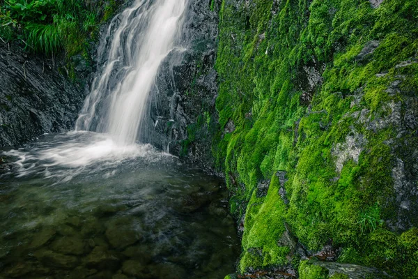 Yağmur ormanlarındaki nehir üzerindeki şelalenin atmosferik görüntüsü. Kayalar ve yeşil yosunlar arasında hızlı akarsu.