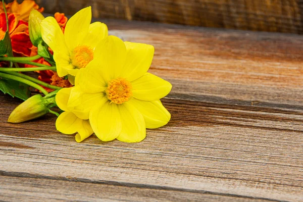 Yellow Dahlia Flowers Wooden Table — Stock Photo, Image