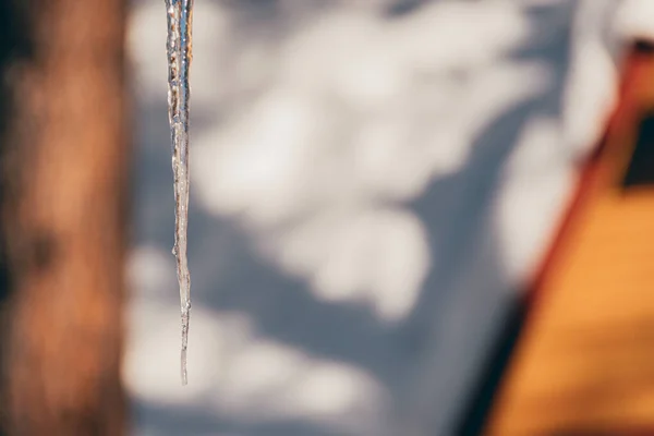 Icicle Wisi Gzymsie Wiosenny Dzień — Zdjęcie stockowe