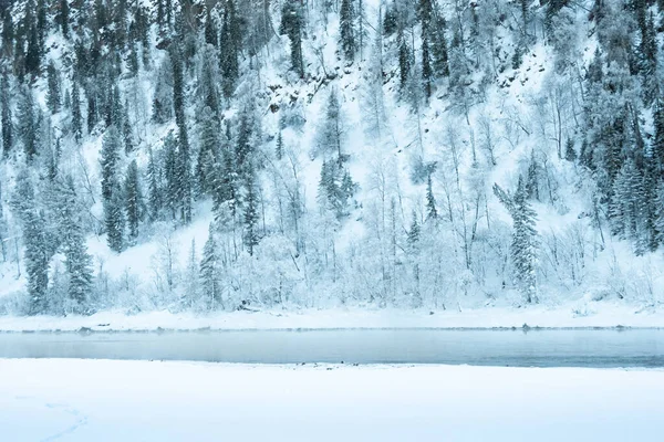 Kış nehrinin yanındaki karanlık kar ormanı. Göl kıyısı buz ve buzla kaplı. Soğuk yüzünden suyun üzerinde hafif buz gibi sis.