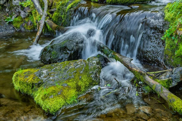Flusso Forestale Nella Foresta Pluviale Cascata Tra Rocce Muschiate Verde — Foto Stock