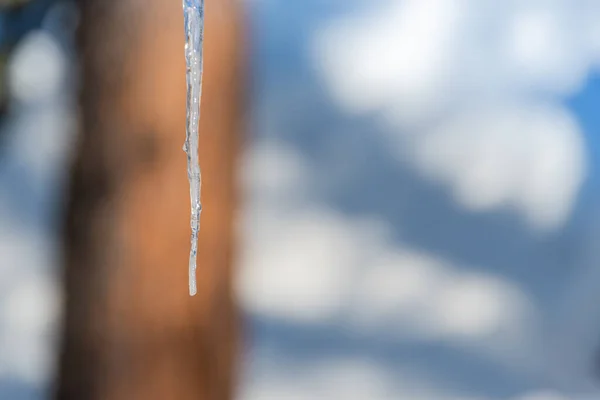 Jégcsap Lóg Cornice Tavaszi Napján — Stock Fotó