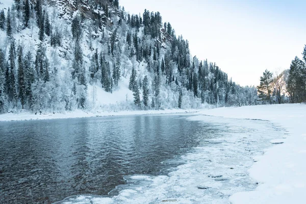 Karlı ormanlı gölün buzlu kıyısı. Soğuk hava, soğuk hava yüzünden donmuş nehir yatağı.
