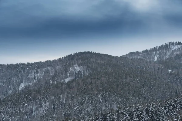 Encostas Doces Colinas Florestais São Cobertas Primeira Neve Vista Vales — Fotografia de Stock