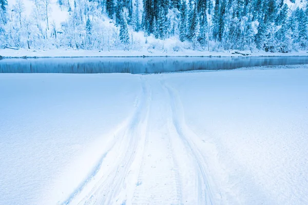 Derin karda kar motosikleti izleri. Karla kaplı bir araziyi geçen bir kar aracının çarpık izleri.