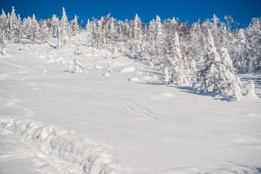 Güneşli bir günde, kar altında yol. Dağ vadisinde kış gezisi