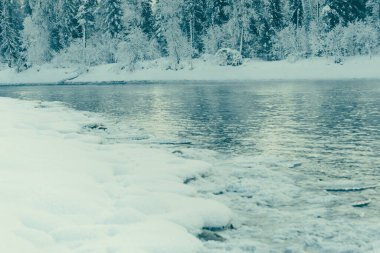Buz gibi nehrin yamacındaki kar ormanı.