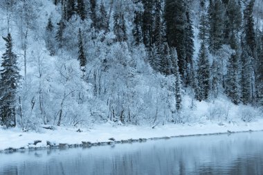 Nehir kıyısındaki kar ormanı. Sudaki buz ağaçlarının yansıması.