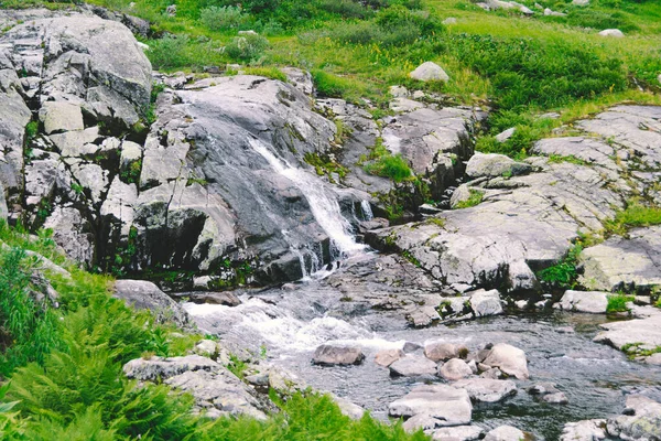 Schneller Bach Gebirgstal Zwischen Grasbänken Kleiner Wasserfall Auf Der Grünen — Stockfoto