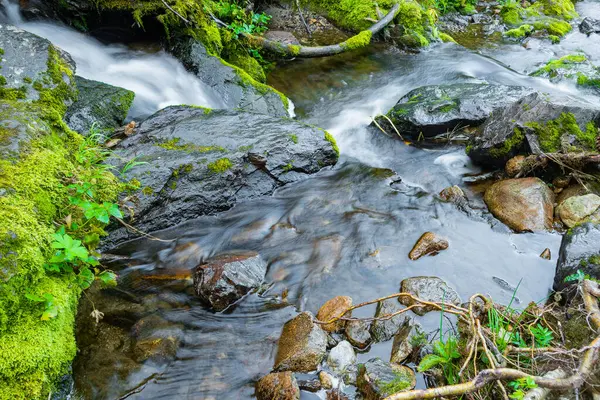 Stürmischer Bach Zwischen Felsen Und Geröll Waldtal Gebirgsfluss — Stockfoto