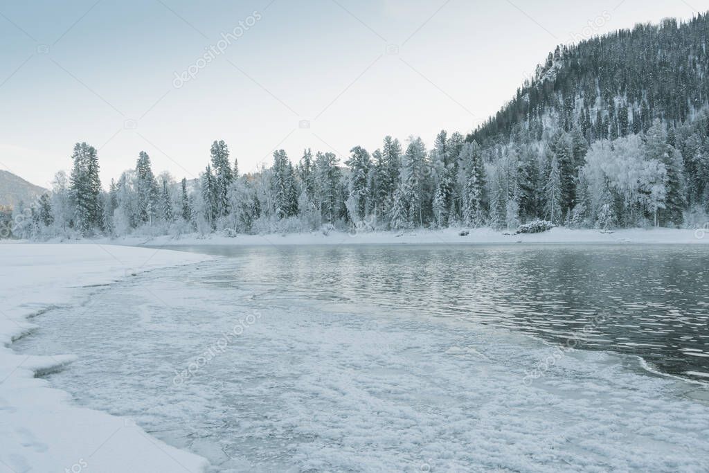Icy shore of lake with snowy forest. Cold weather, frozen riverbed due to sharp cold snap