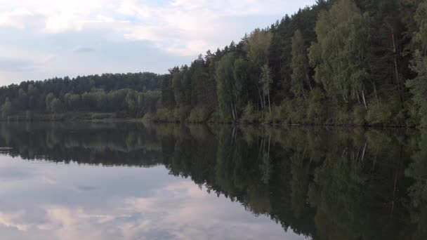 Reflexión del bosque en la orilla del lago — Vídeos de Stock