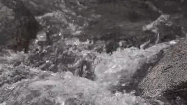 Хрустальный поток воды между скалами — стоковое видео