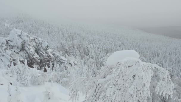 Vista della foresta innevata coperta di neve. Quelli congelati coprire pendenza della collina rocciosa. — Video Stock