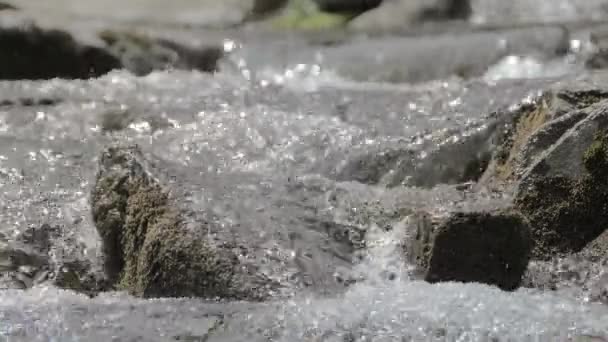 Rzeka górska płynie między skałami meczetowymi — Wideo stockowe