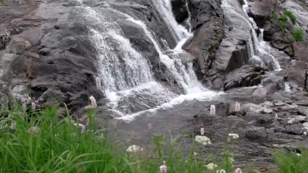 Waterfall with multiple streams flows down stone wall. — Wideo stockowe