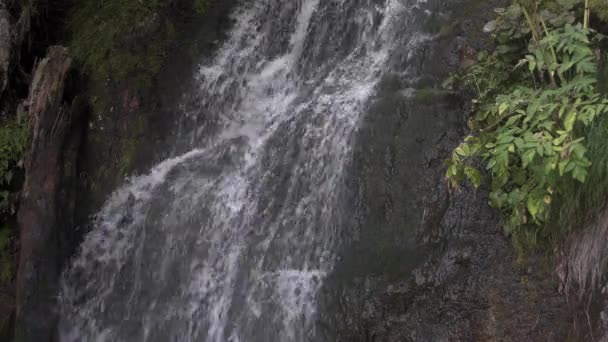 Wasserfall fließt auf bemoosten Felsvorsprüngen im Regenwald — Stockvideo