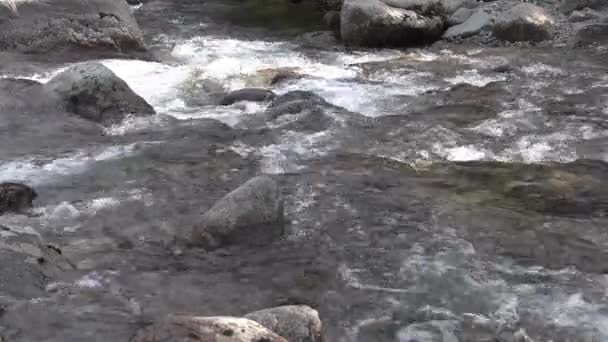 Mountain river flows down stone bed. Water bubbling and foaming — Stock Video