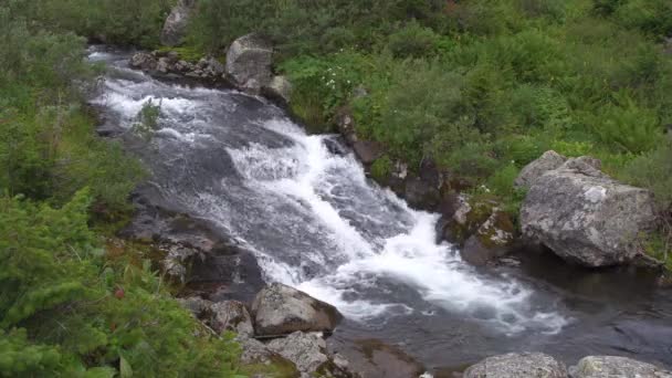 Swift nehri kayaların üzerinden akıyor. Su köpükleri ve kaynar.. — Stok video