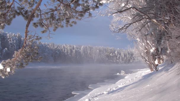 Malerische Winterlandschaft am Fluss, nebelverhüllt. — Stockvideo