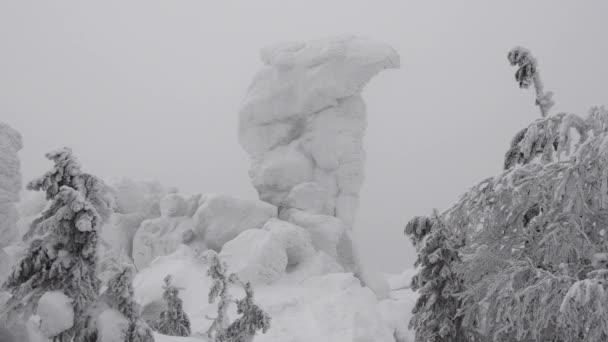 Foggy winter weather at top of hill — Stock Video