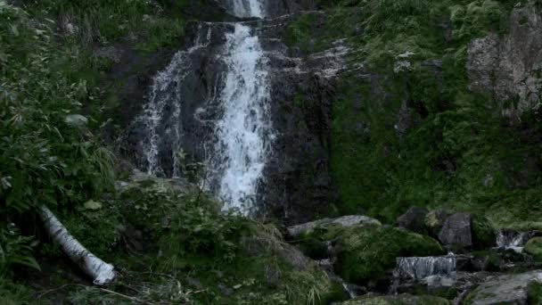 La rivière descend la falaise en cascade. Cascade en forêt tropicale — Video