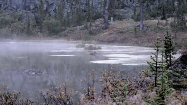 Foggy autumn morning on forest lake. Calm water ripples slightly in wind. — Stock Video