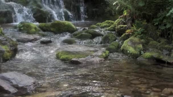 Cachoeira com fluxos de água cristalina na floresta tropical. — Vídeo de Stock