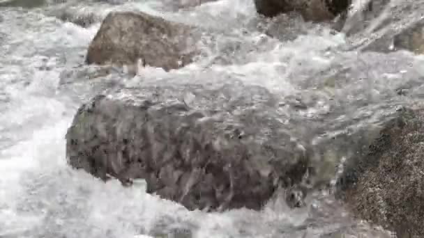 Гірський потік тече скелями в русло річки . — стокове відео