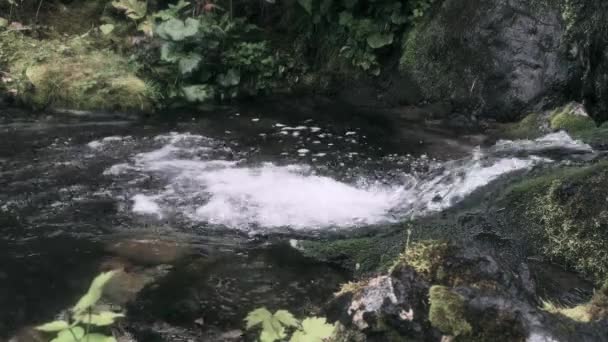 El agua cae en el estanque sobre rocas musgosas en el lago. — Vídeos de Stock