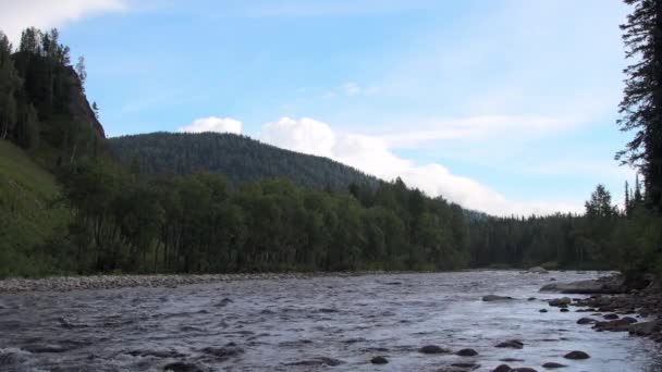 Szeroka rzeka płynie wzdłuż żwiru. — Wideo stockowe