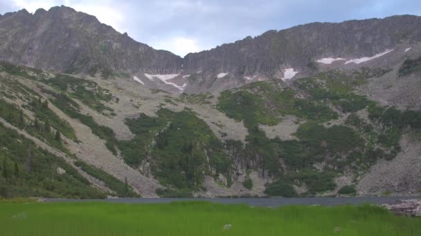 Crête rocheuse avec glaciers et arbres sur la pente. Balancement de l'herbe verte par la rive. — Video