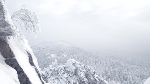 Utsikt från toppen av snödalen. Snö faller på stenar. — Stockvideo