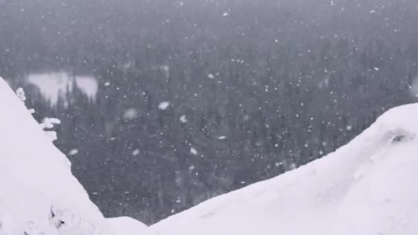 Sneeuw valt op de helling van de heuvel. Wind blaast sneeuwvlokken. — Stockvideo