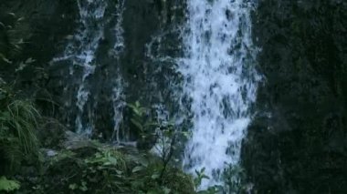 Islak yosunlarla kaplı kayalıklardan su düşüyor..