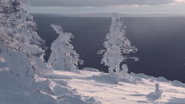 La neve sta cadendo sotto raggi di sole. Nevicata sul fianco della collina. — Video Stock
