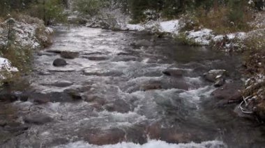 Ormandaki dağ nehri. Nehrin kıyısında taze kar yatıyor..